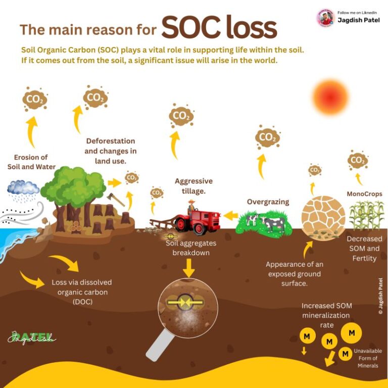 (Image of "The Main Reasons for SOC Loss" by Jagdish Patel)
