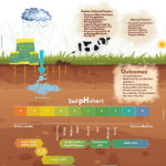 soil health