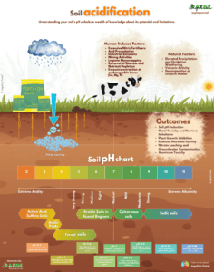 soil health