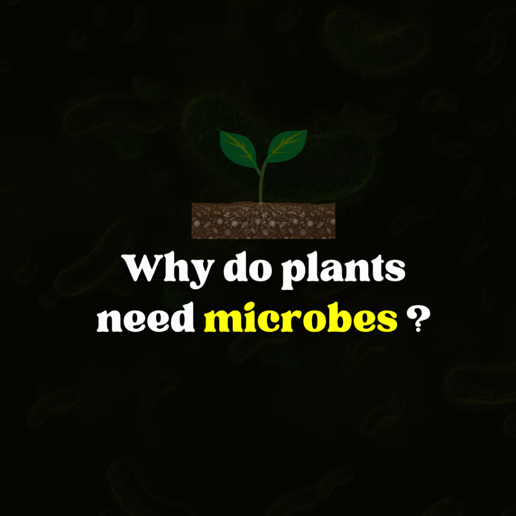 Why Plants Need Microbes for Growth and Soil Health