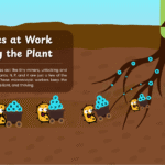 Soil microbes feeding plant roots illustration