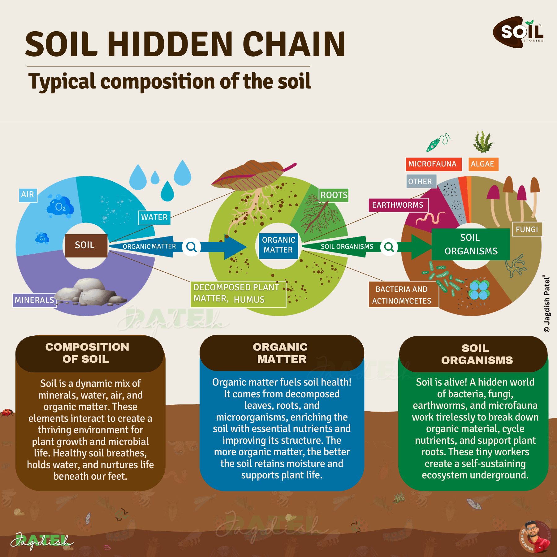 Soil hidden chain infographic showing composition of soil, organic matter, and soil organisms