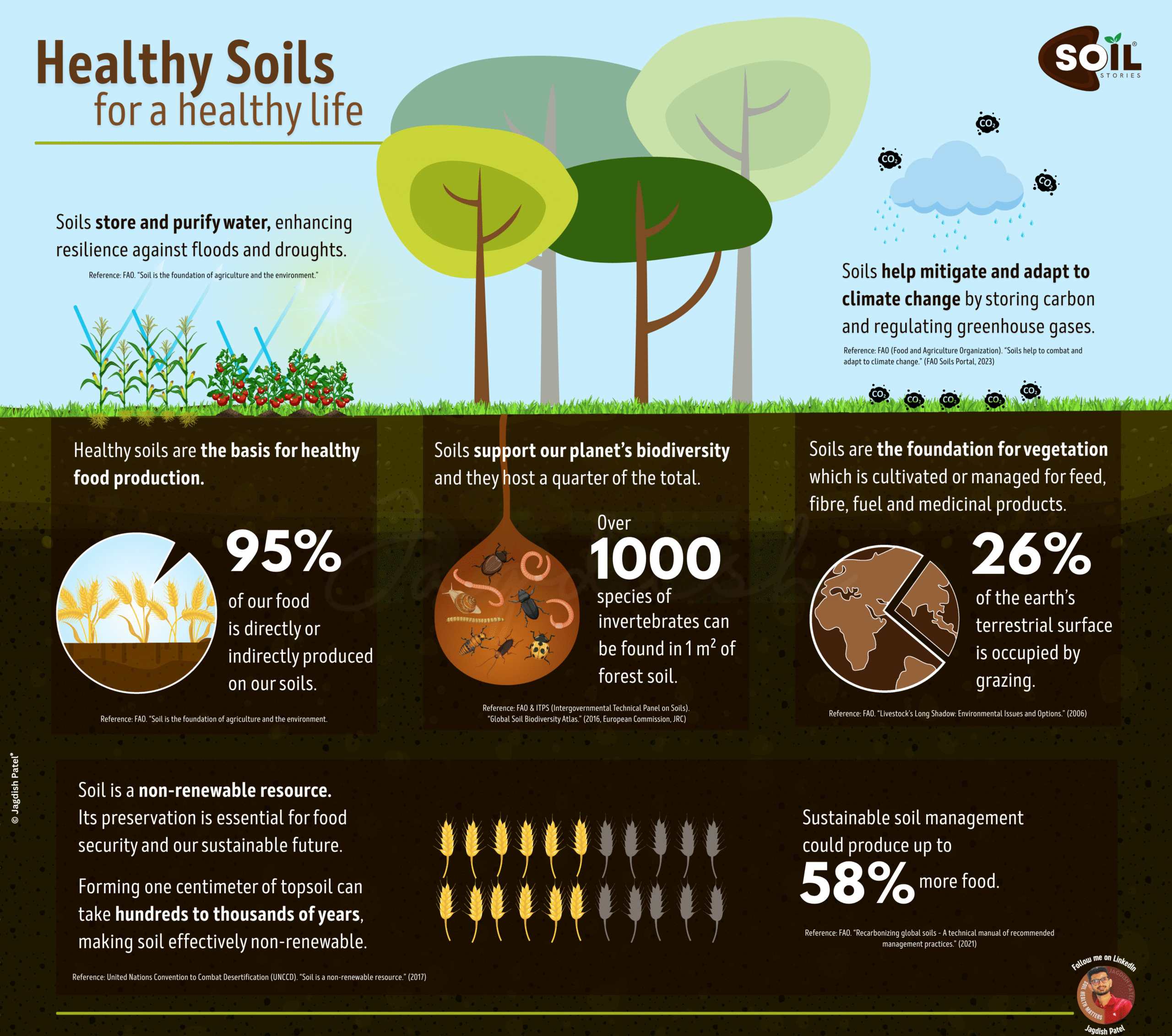 Healthy Soils for a Healthy Life - Scientific illustration by Jagdish Patel Soil Stories