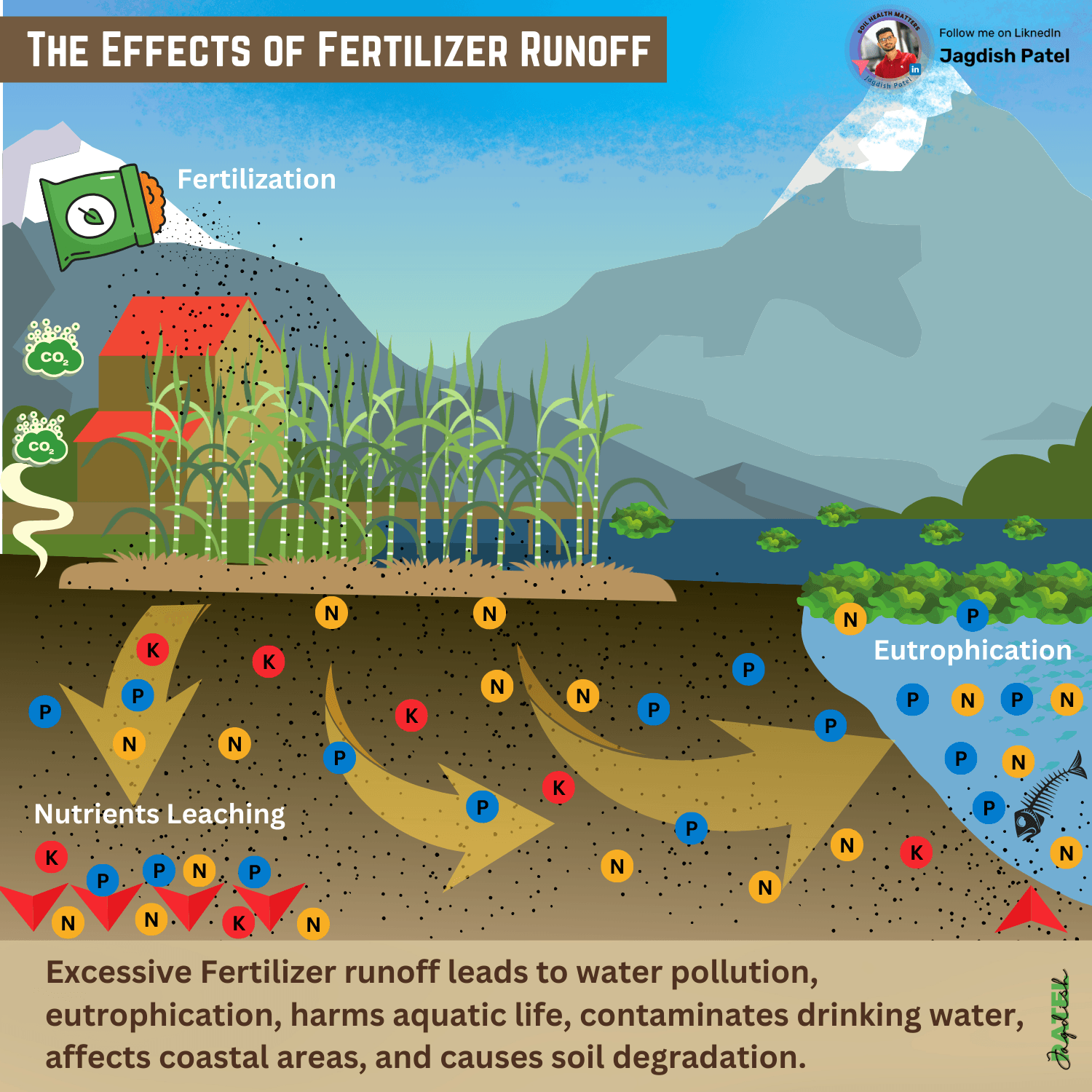 Soil nutrient movement and leaching process illustration