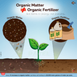 Organic matter and organic fertilizer soil illustration