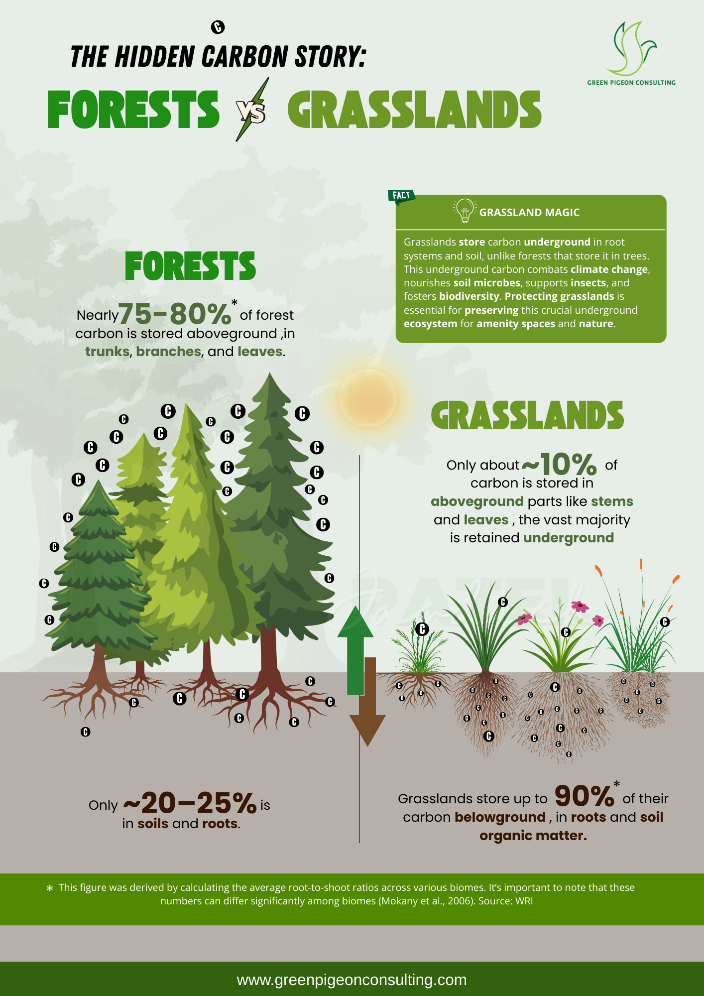 Forest and grassland carbon storage comparison visual