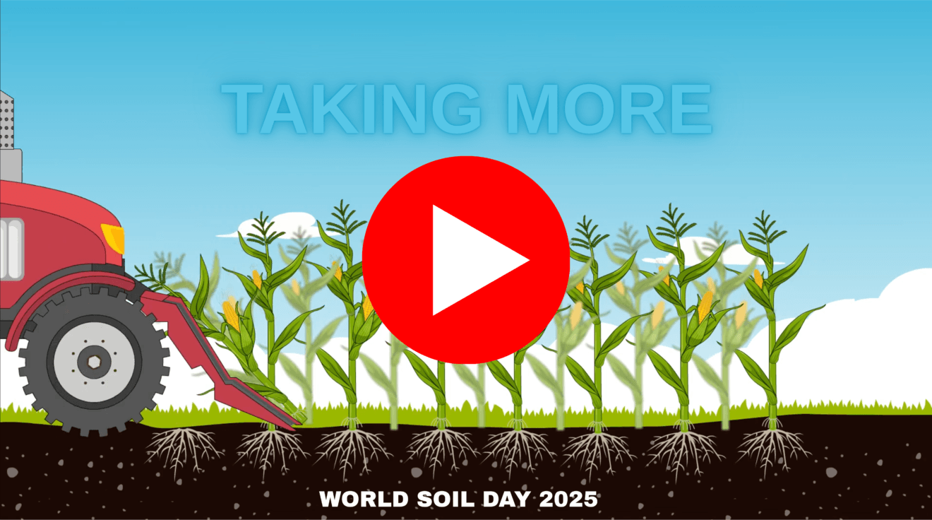 Animated scene showing healthy crops above and living soil organisms below, illustrating soil memory for World Soil Day 2025.