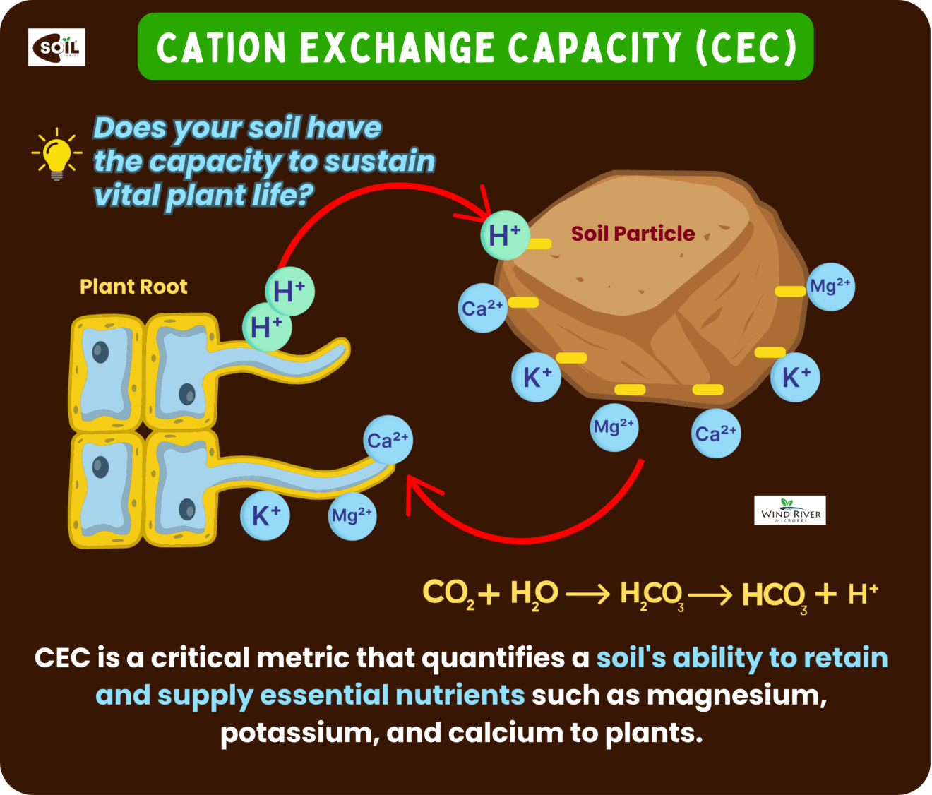 EC vs CEC in Soil: How Nutrient Availability Affects Crop Yield