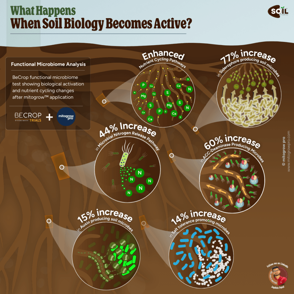 Active soil biology increases nutrient cycling, stress tolerance, and root activity, which can be measured using functional microbiome testing.