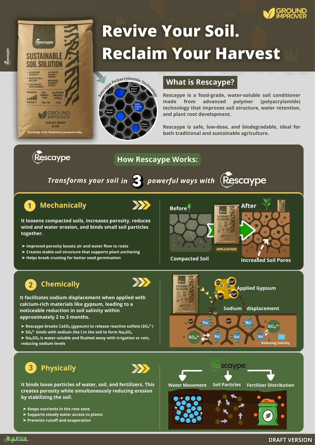 Revive your soil brochure cover by Soil Stories