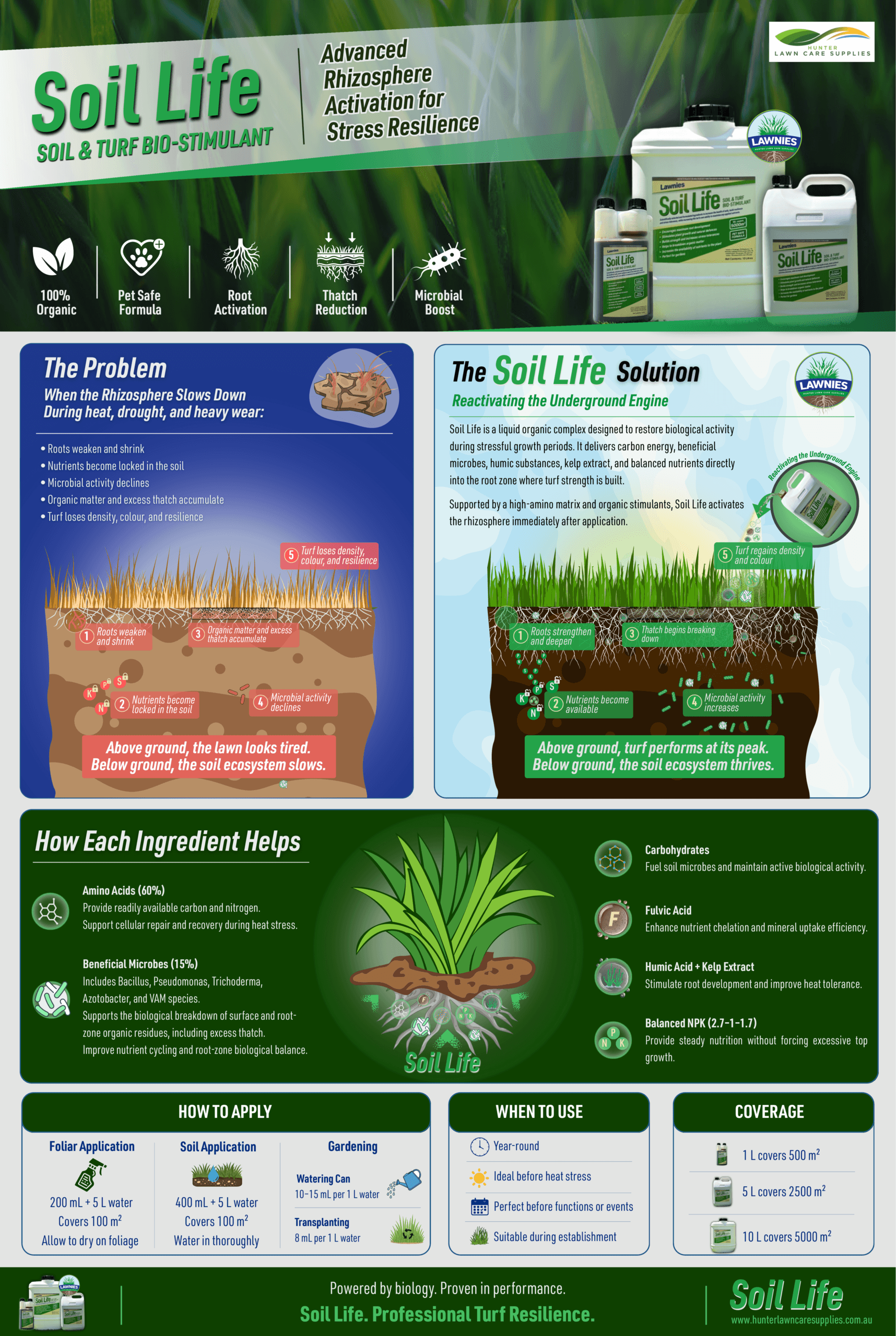 Lawnies soil life infographic by Soil Stories