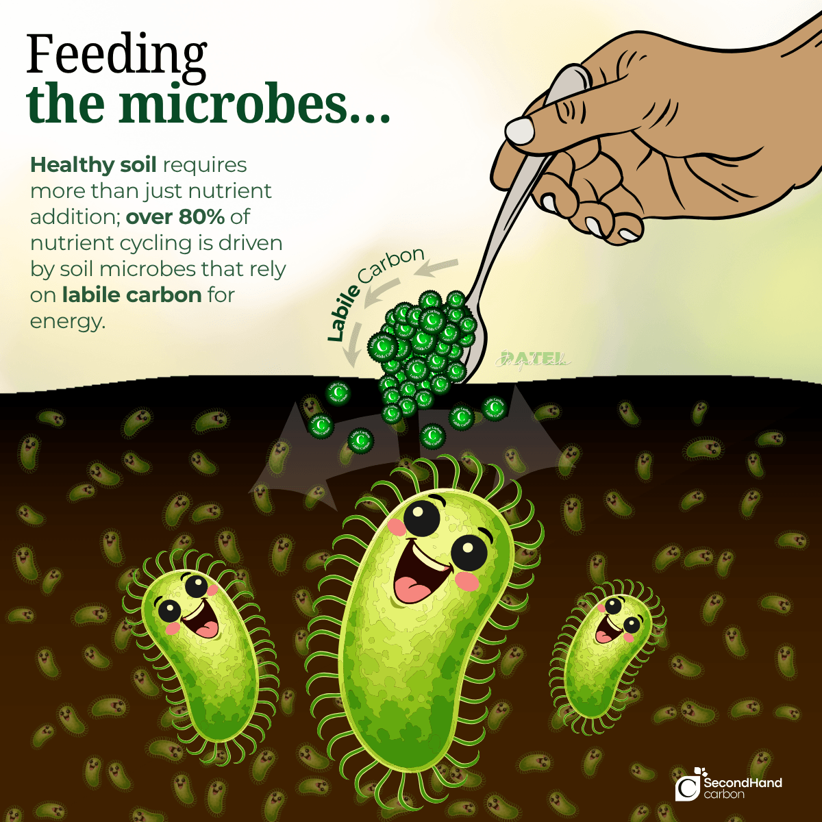Feeding Soil Microbes - Scientific illustration by Jagdish Patel Soil Stories